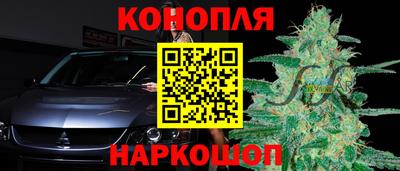 гидропоника Гусь-Хрустальный