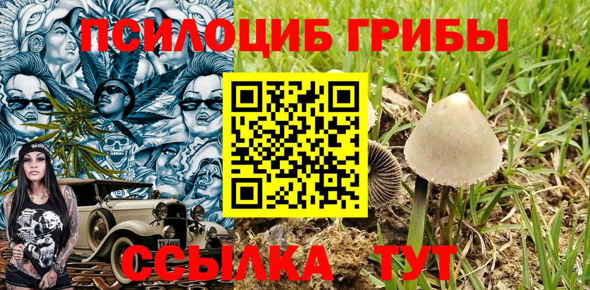 Мирный  Псилоцибиновые грибы мухоморы  Вход с VPN  Галлюциногенные грибы Magic Shrooms 